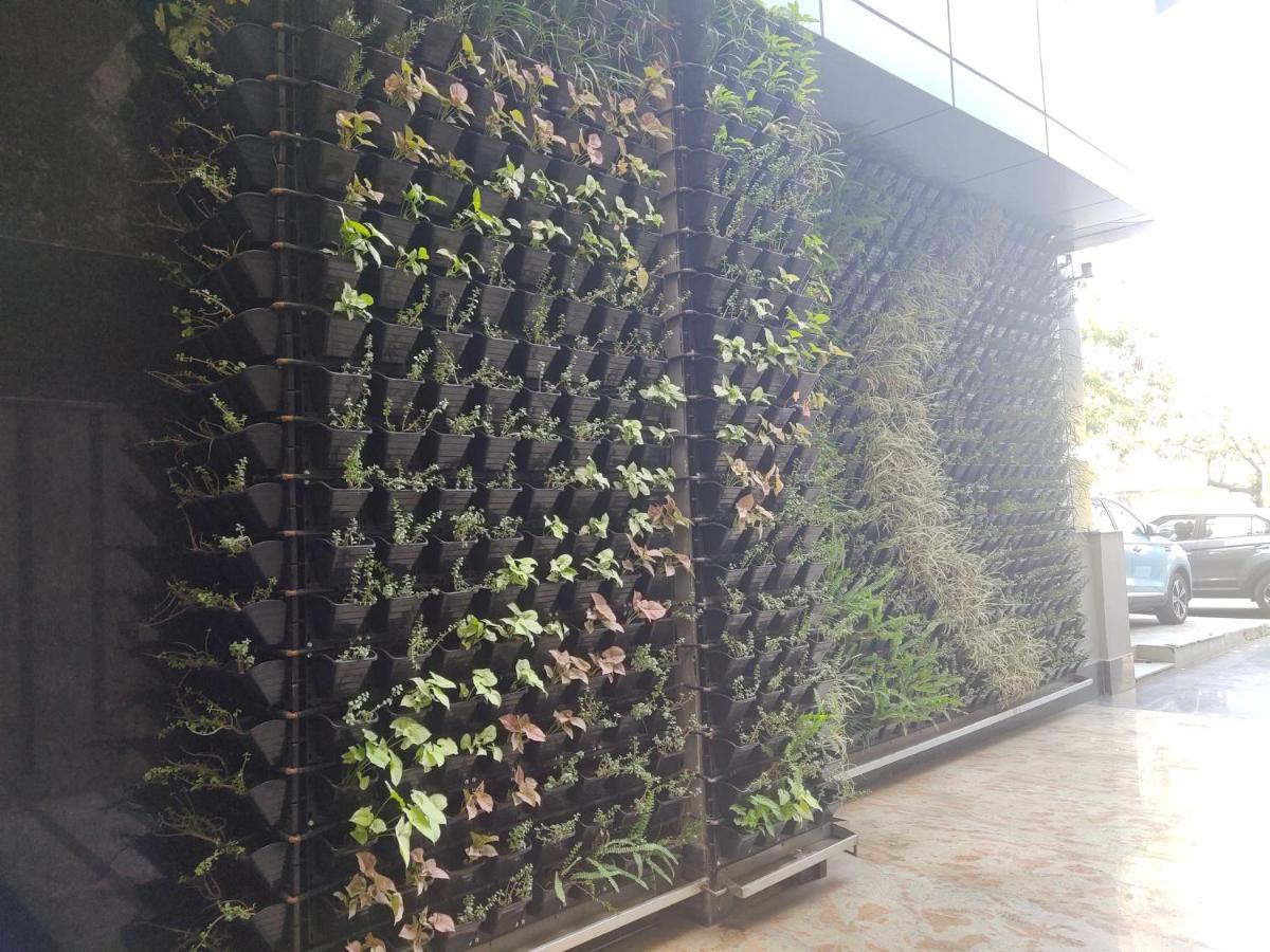 Delhieez - A Boutique Hotel New Delhi Luaran gambar